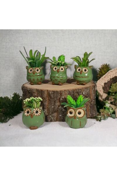 Desing gift box 5'li Baykuş Tasarımlı Yeşil Saksı Seti