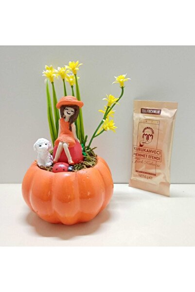 Decorium Evlilik Yıl Dönümü Hediyesi Kız Arkadaşa Doğum Günü Hediyesi Kabak T...