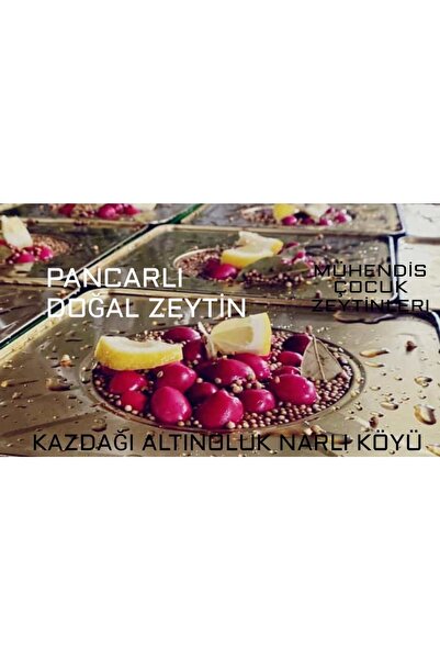 CAN ARI Gurme Pancarlı Zeytin Doğal Gurme 1 Kilogram