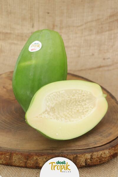 Dost Tropik Belek Yeşil Papaya Meyvesi 1 Kilogram