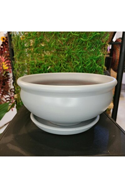 Balcony Flower Bonzai Saksı