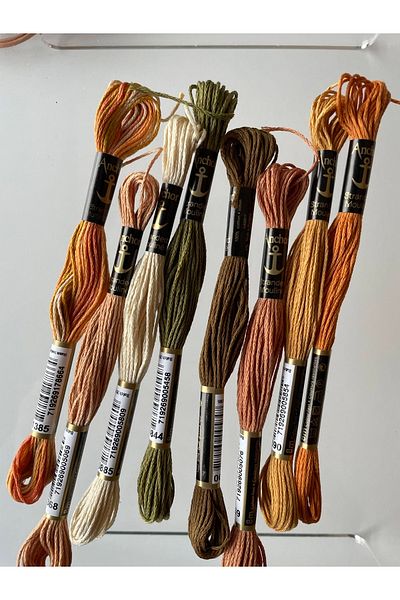 BibuPunch Bibu Anchor Muline Embroidery Floss Specially Selected Colorful Thread Set - Brown and Green Shades