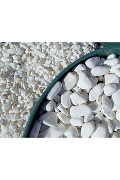 Asenya Dolomit Taş 6 Kg 25-40 Mm Dekoratif Vazo Akvaryum Teraryum Taşı Beyaz ...