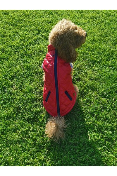 Bi Dolap Ponçik Bi Quilted Coat Vest Red Cat Dog Outfit & Coat