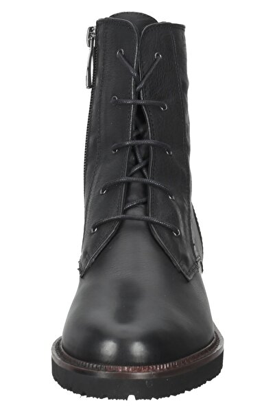 Everybody Εξομάλυνση