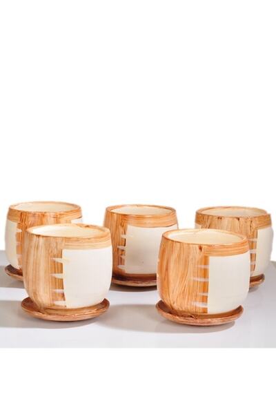 SAMESA HEDİYELİK Toprak Saksı Saksı Çeşitleri Kaktüs Saksı ( 5 Adet )