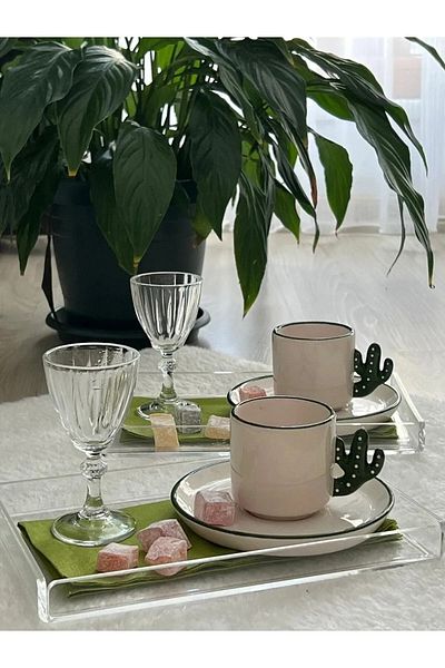 Phigo 6-Piece Transparent Plexiglass Tray 14x22cm Serving Presentation Tray Stylish New Coffee Tea Tray 6 Pieces