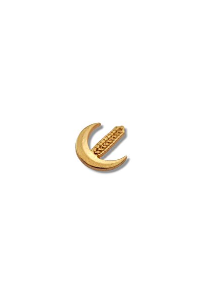 Re-Welfare Party (GOLD) Lapel Badge