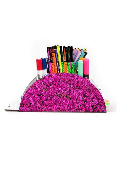 kutuTR منظم حامل أقلام مكتبي من سلسلة Vip Flowers الخشبية بألوان قوس قزح مع صندوق مجمع