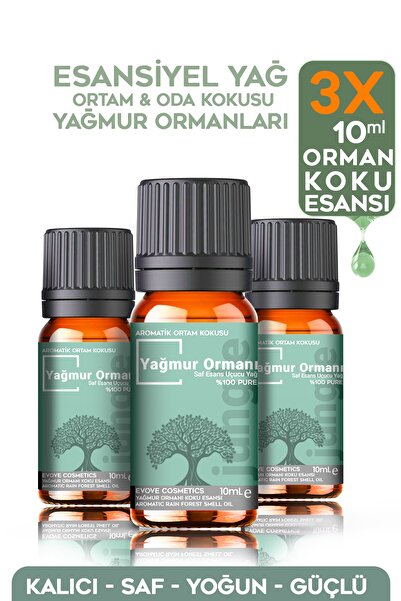 Evove Cosmetics Yagmur Ormanlari Esansiyel Yağ Oda Kokusu 3 Adet 10ml Set Aro...