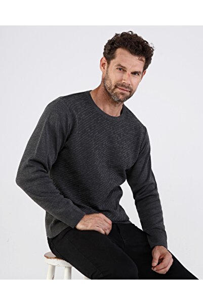 Çizgi Triko Чоловічий светр з круглим вирізом, сірий з візерунком, еластичний пояс, класичний крій