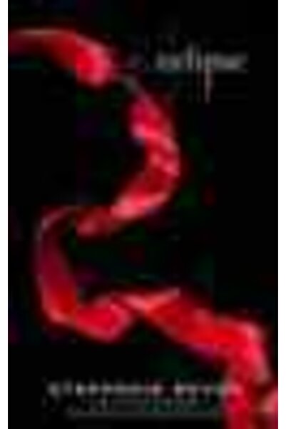 Atom Yayıncılık Eclipse - Winter Comfort Shoes