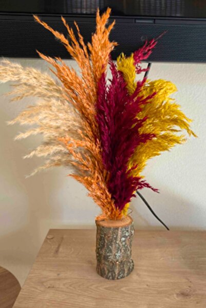 Alyones Rustik Şıklığı Masanıza Taşıyın: Karışık Dekoratif Doğal Pampaslı Küt...