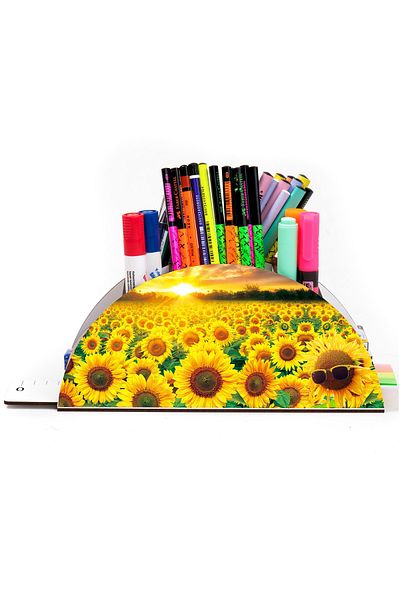 kutuTR Wooden Vip Flower Series Rainbow Ruled Desktop Pen Holder Organizer Assembled Boxed