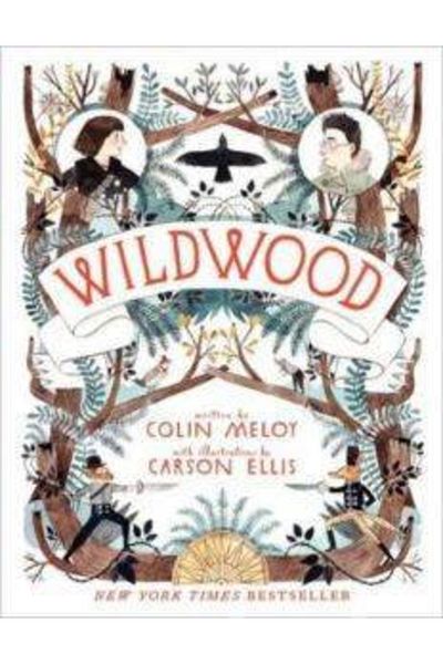 Balzer +Bray Wildwood (Wildwood Chronicles 1)