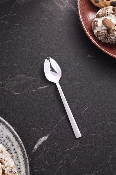 Vipinox 6 Pieces of Luxury Teaspoon Stainless Steel Stick Model Teaspoon 11cm
