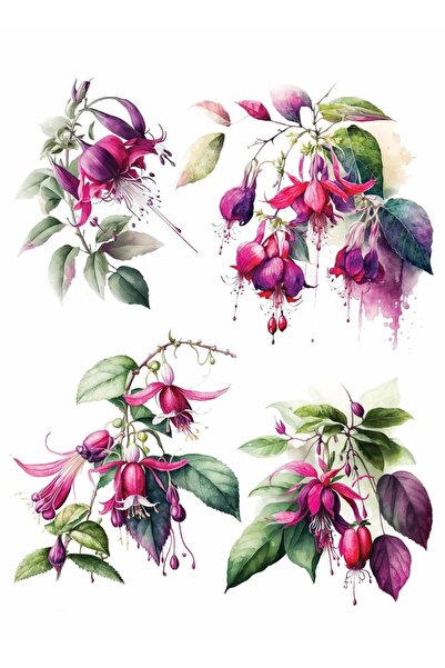 MyHobby ورق نقل مائي Lnt-115 مقاس 25x35 سم