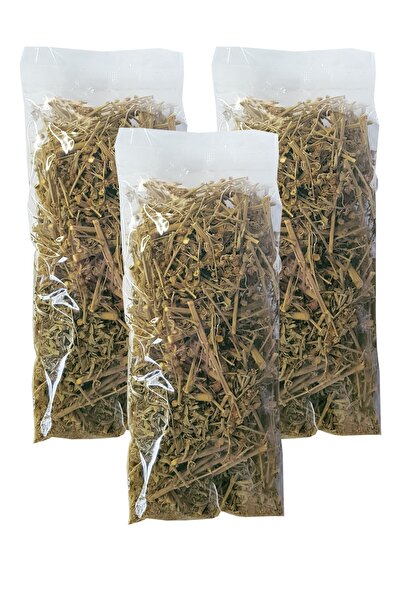 Zencefil Organik Pelin Otu 3 Paket Pelin Bitkisi Pelin Otu Çayı