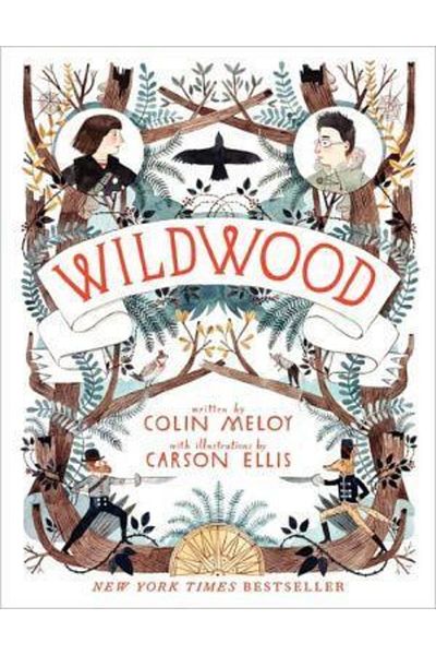 Balzer +Bray Wildwood (Wildwood Chronicles 1)