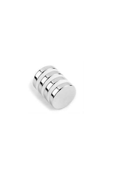 Hdg Far Temizleyici Temizleme Mıknatısı Neodyum Mıknatıs Çap 15 Mm Kalınlık 3...