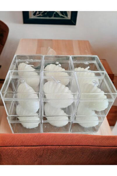 ERSE HOME 12 Adet Mika Kutu Içinde Mini Istiridye Mum Seti