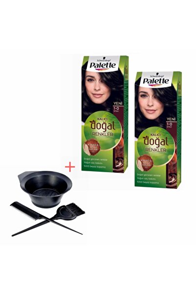Palette Kalıcı Doğal Renkler 1-0 Siyah X 2 Adet + Boyama Seti