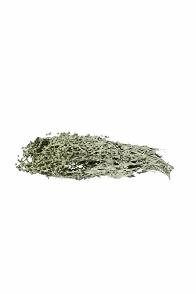 Çay Ağacı Yağı 20 ml Vesile 8681528240264