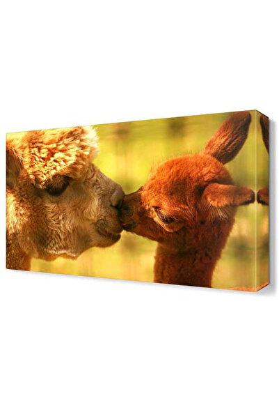 Dekor Sevgisi Lama Canvas Tablo  120x80 DTC14530477