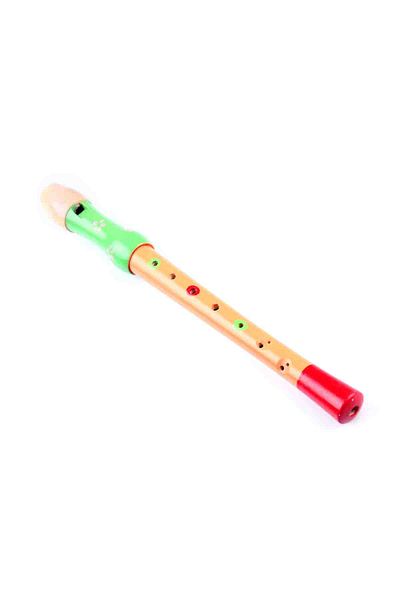 Learning Toys Wood Color Flute /