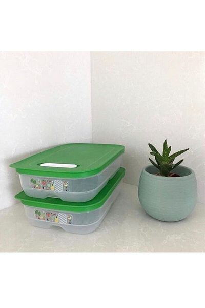 Tupperware Greenhouse1.8