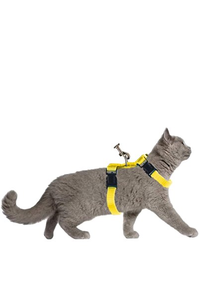 Pandogo Cat Walking Collar with Dispatch Strap Yellow Dubai