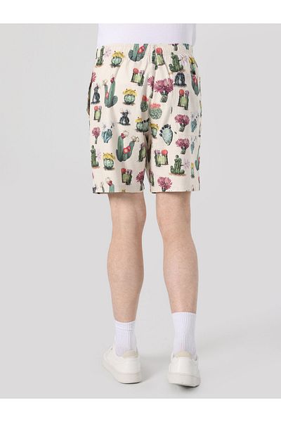 Colin's Men's Shorts - Multicolored