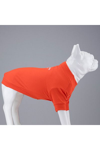 Lindodogs Always Stay Free Flex Body Small And Medium Breed Dog T-shirt