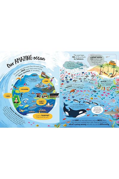 Usborne Lift-the-flap Looking After Our Ocean