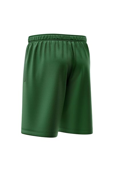 Freysport Pantaloni scurți verzi casual