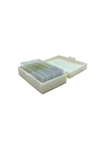 LABORATUVAR STUDIO Mikroskop Hazır Slayt Seti - 10 Slayt - Bitkiler Ve Böcekler