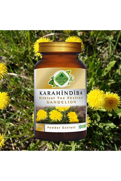 Gökçek Şifa Karahindiba Toz Ekstresi 70 Gr. Cam Kavanoz
