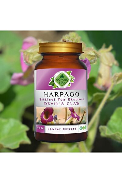 Gökçek Şifa Harpago Toz Ekstresi 100 Gr. Cam Kavanoz