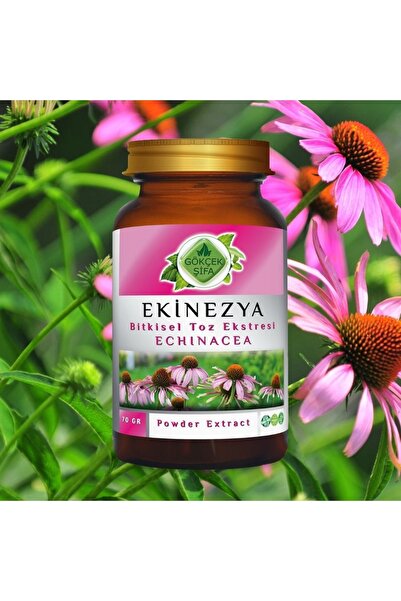 Gökçek Şifa Ekinezya Toz Ekstresi 70 Gr. Cam Kavanoz
