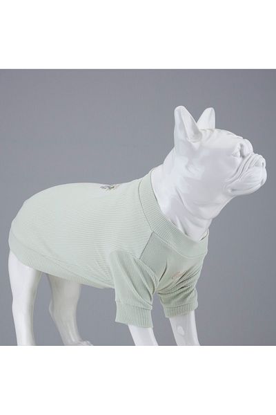 Lindodogs My Raisin Cake Flex Body Small and Medium Breed Dog T-shirt