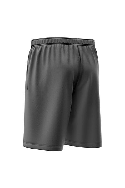 Freysport Anthracite Casual Shorts