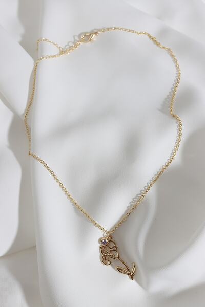 Süspüs Accessories Doğum Çiçeği Süsen Şubat