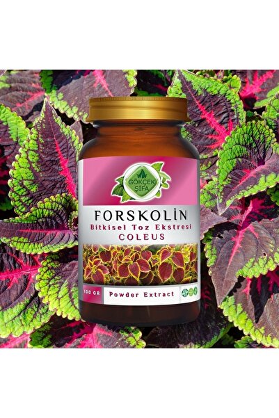 Gökçek Şifa Forskolin Toz Ekstresi 100 Gr. Cam Kavanoz
