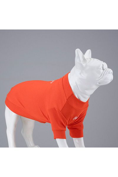 Lindodogs Always Stay Free Flex Body Small And Medium Breed Dog T-shirt
