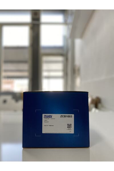 ZEGEN Karbüratör ( Renault 9 Uyumlu ) Zcb1003