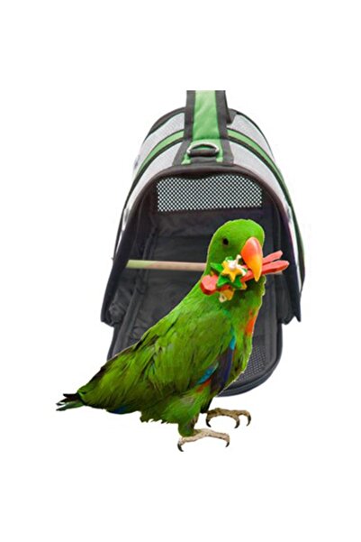 AlaPet Tünekli, Fileli Muhabbet Kuşu Taşıma Çantası (şeffaf) Royal Milano-yeşil (33cmx23cmx22cm)