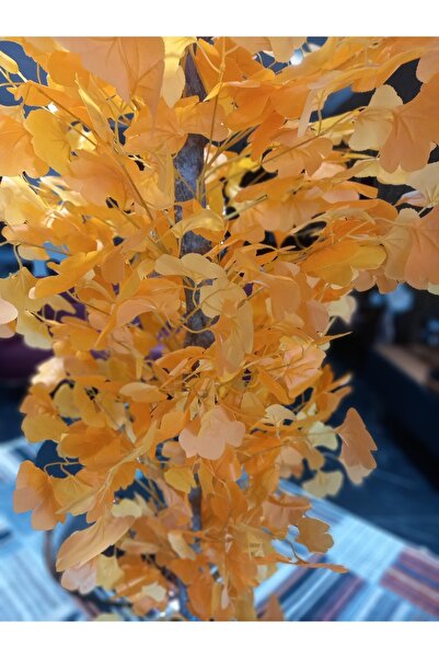 ERHAN FLOWERS 180 Cm Sarı Sakura Ağacı Şık Darbuka Saksıda