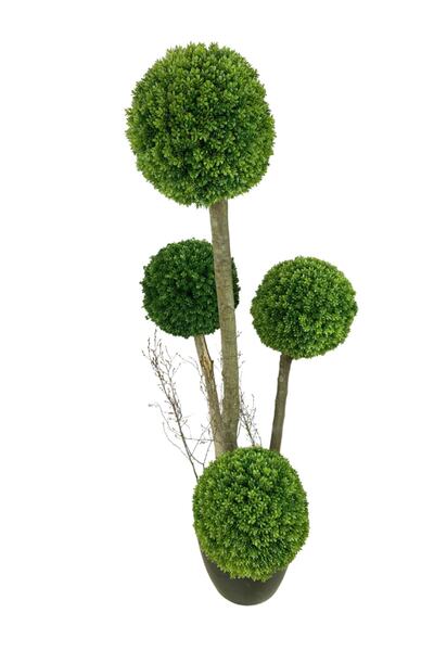 Cihan Çiçekçilik 4'lü Çamdalı Şimşir Top 170 Cm Yapay Ağaç 30x30 Metal Saksı