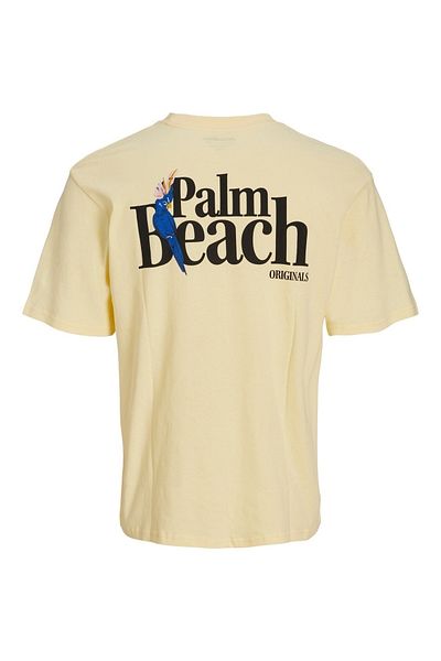 Jack & Jones Jack Jones Men's Front and Back Text Printed T-Shirt 12234293