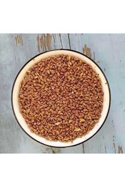 forevers Süpürge Otu Tohumu 180 Gram (1.kalite &taze Mahsül)